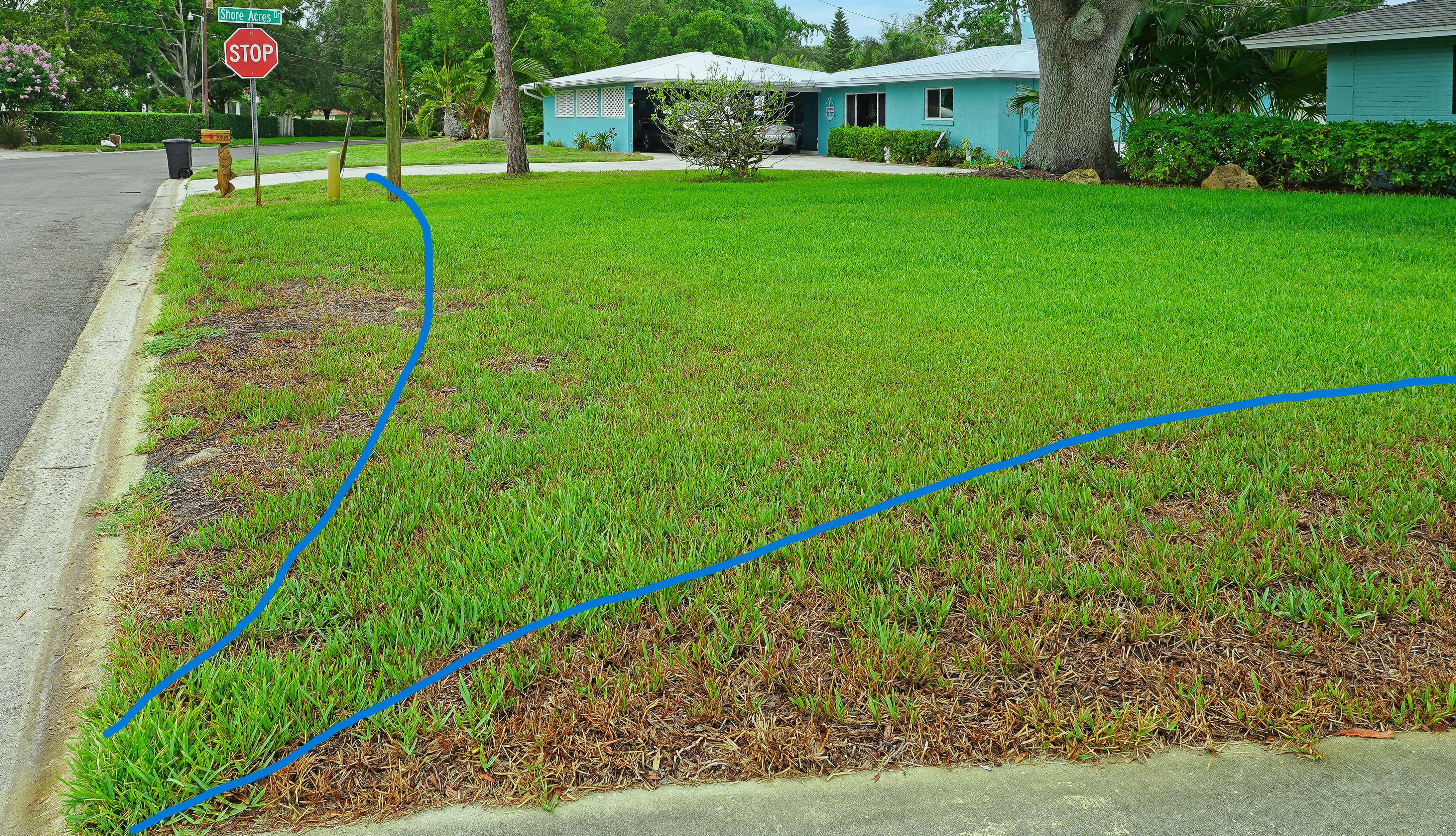   Same yard, different view showing the head location